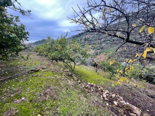 terreno agricolo in vendita a Bordighera