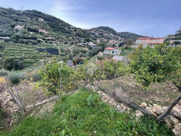 terreno agricolo in vendita a Bordighera