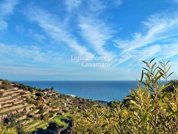 casa indipendente in vendita a Bordighera