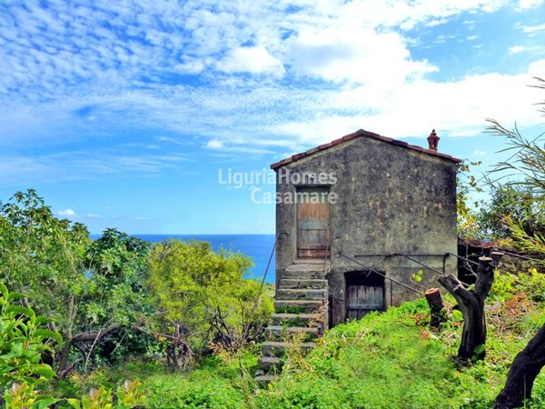 casa indipendente in vendita a Bordighera