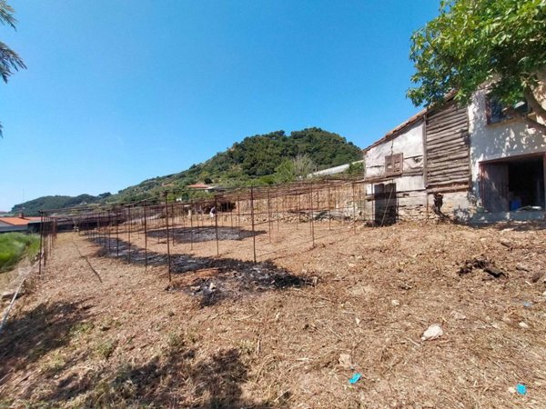 terreno edificabile in vendita a Bordighera in zona Borghetto San Nicolò