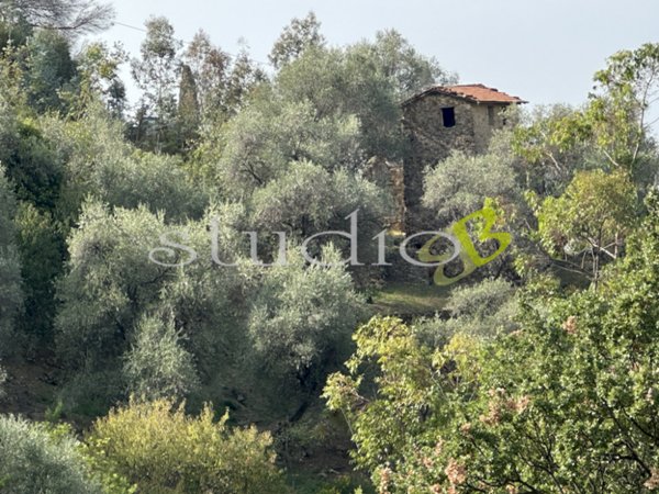 appartamento in vendita a Bordighera