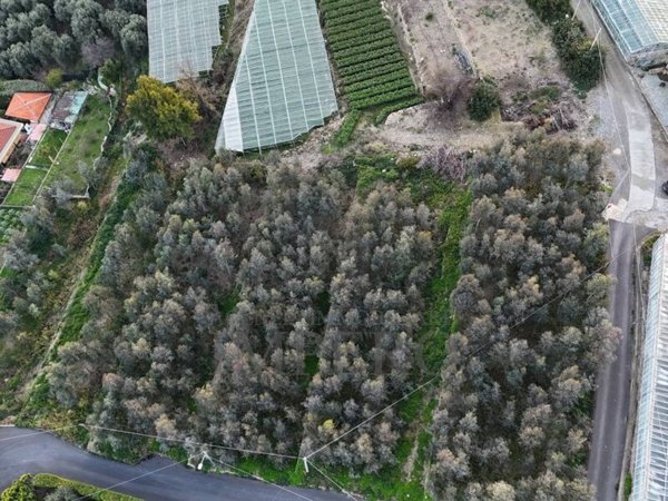 terreno edificabile in vendita a Bordighera