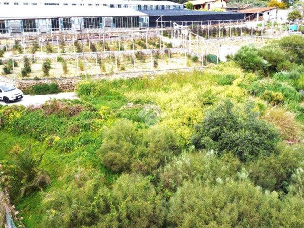 terreno agricolo in vendita a Bordighera in zona Sasso