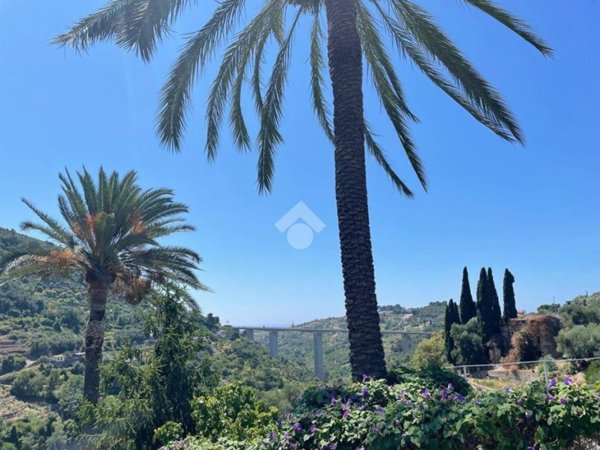 terreno agricolo in vendita a Bordighera in zona Sasso