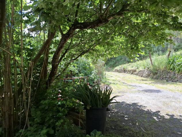 casa indipendente in vendita a Bordighera