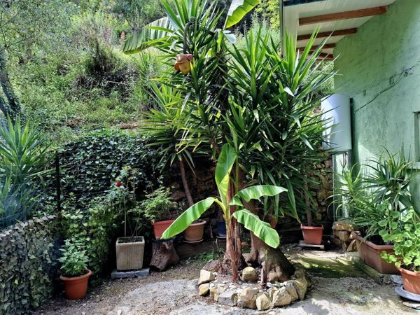casa indipendente in vendita a Bordighera