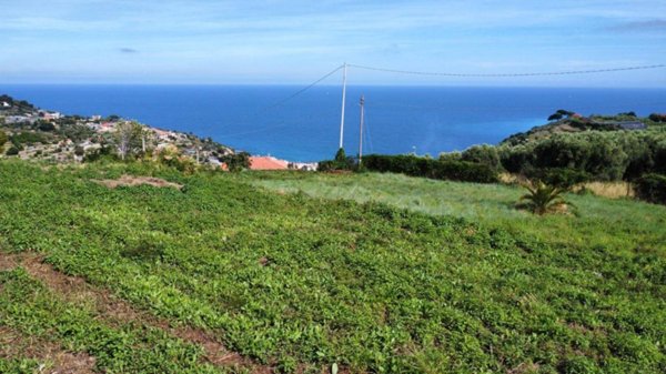 casa indipendente in vendita a Bordighera