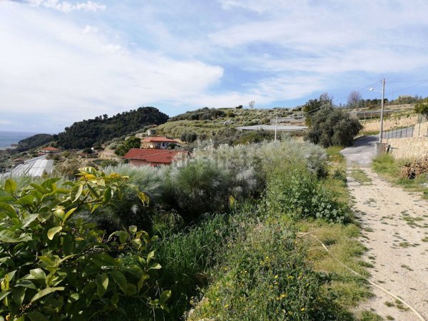 casale in vendita a Bordighera in zona Borghetto San Nicolò