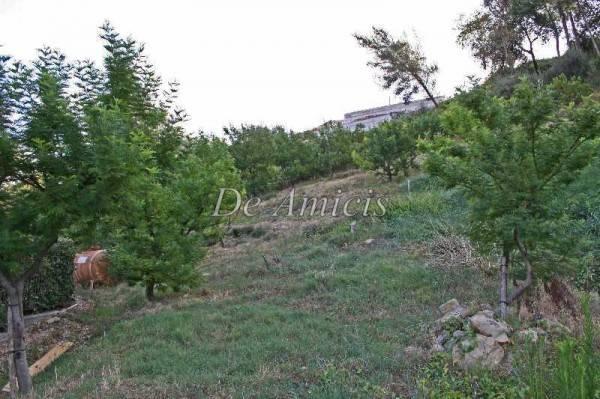 terreno agricolo in vendita a Bordighera