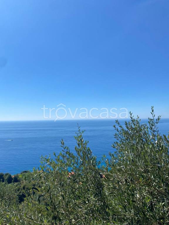 casa indipendente in vendita a Bordighera