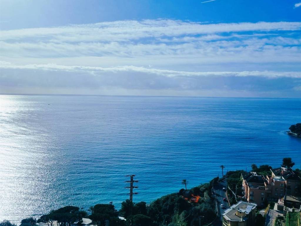 terreno agricolo in vendita a Bordighera