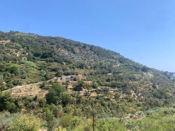 casa indipendente in vendita a Bordighera
