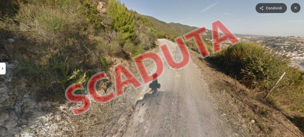 terreno agricolo in vendita a Bordighera