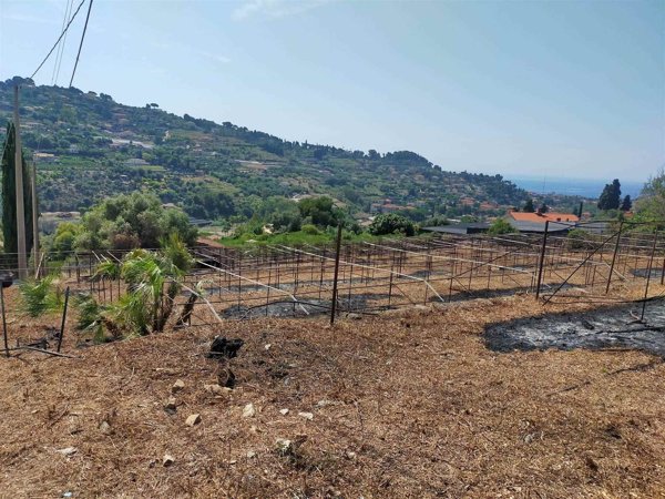terreno edificabile in vendita a Bordighera in zona Borghetto San Nicolò