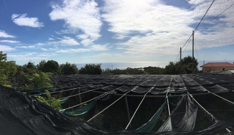 casa indipendente in vendita a Bordighera