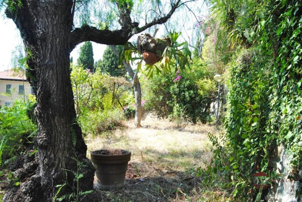 casa indipendente in vendita a Bordighera