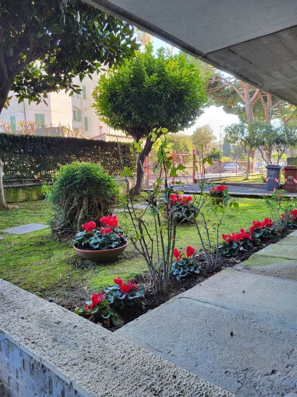 appartamento in vendita a Bordighera