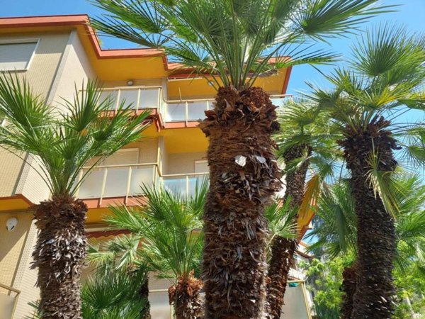 appartamento in vendita a Bordighera