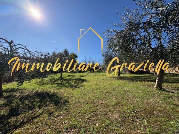 casa indipendente in vendita a Bordighera in zona Borghetto San Nicolò