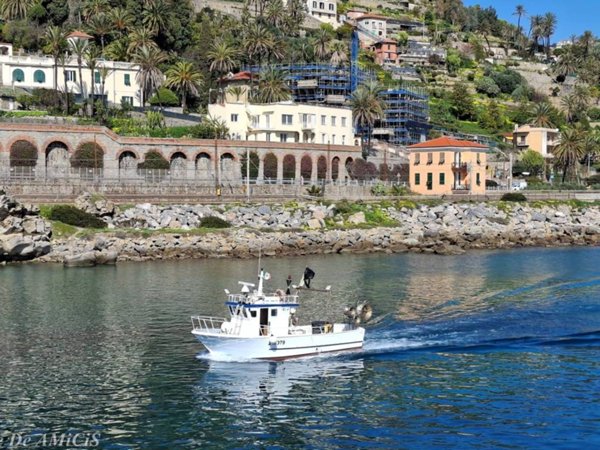 appartamento in vendita a Bordighera
