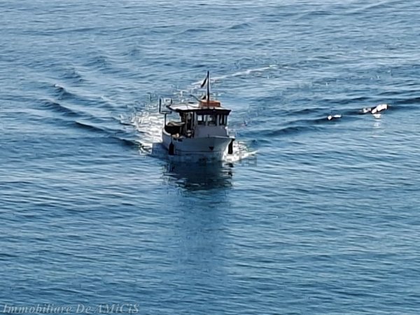 immagine annuncio 0 di 1