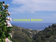 casa indipendente in vendita a Bordighera