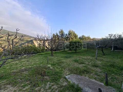 casa indipendente in vendita a Bordighera in zona Borghetto San Nicolò