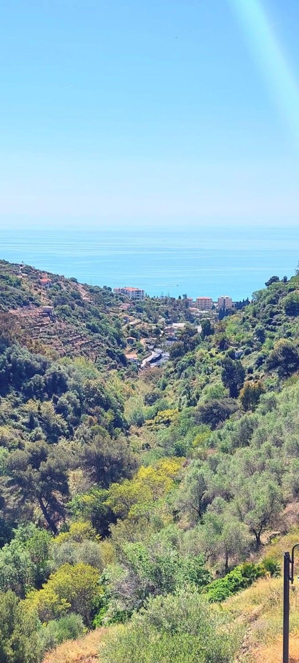 casa indipendente in vendita a Bordighera in zona Sasso
