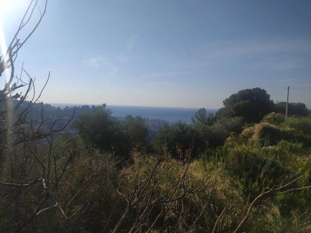 terreno agricolo in vendita a Bordighera