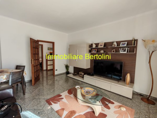 immagine annuncio 0 di 15