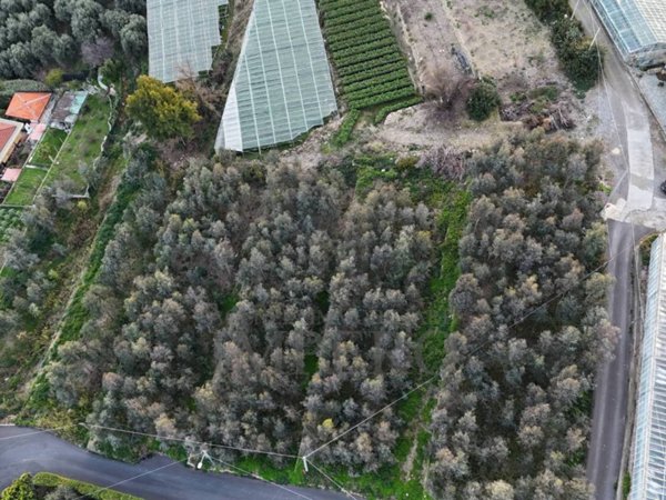 terreno in vendita a Bordighera in zona Borghetto San Nicolò