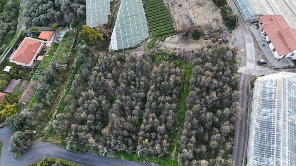 terreno in vendita a Bordighera in zona Borghetto San Nicolò