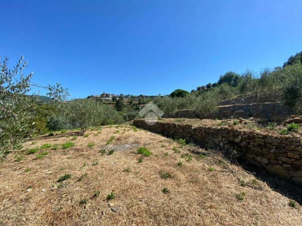 terreno in vendita a Bordighera in zona Borghetto San Nicolò
