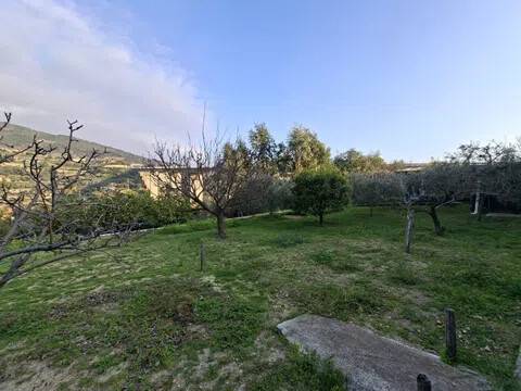 terreno in vendita a Bordighera in zona Borghetto San Nicolò