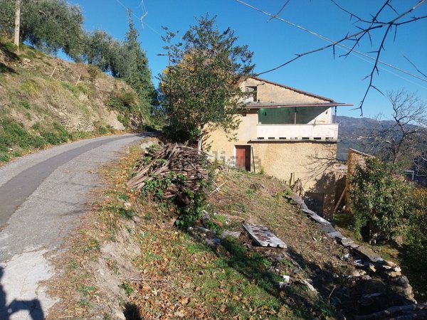 casa indipendente in vendita a Borghetto d'Arroscia