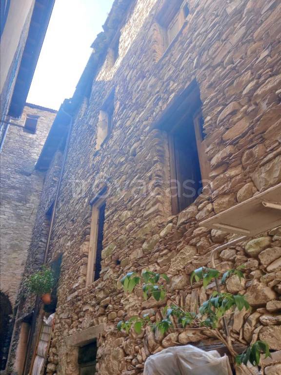 casa indipendente in vendita a Borgomaro