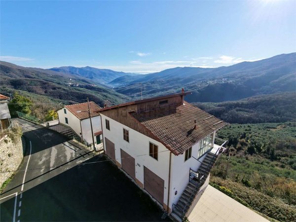 pentavano in vendita a Borgomaro in zona Conio