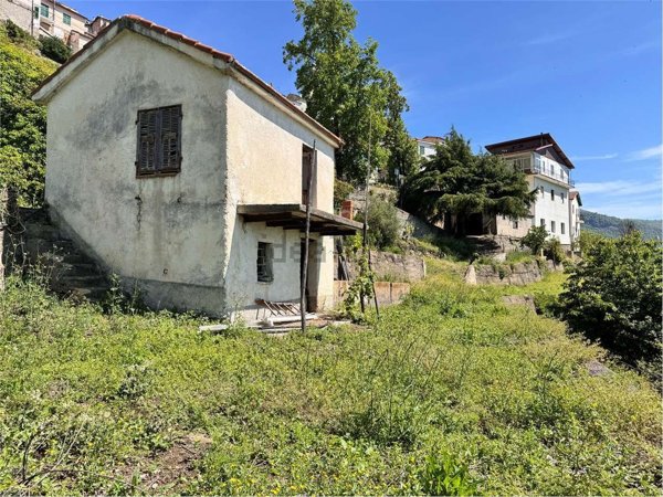 pentavano in vendita a Borgomaro in zona Conio