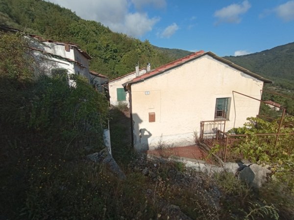 casa indipendente in vendita a Borgomaro in zona Conio