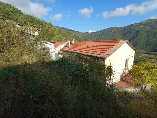 casa indipendente in vendita a Borgomaro in zona Conio