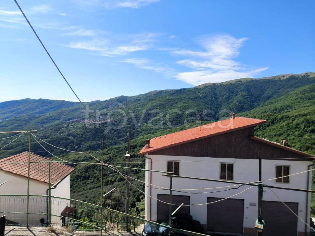 casa indipendente in vendita a Borgomaro in zona Conio