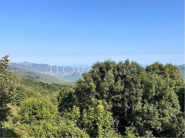 appartamento in vendita a Borgomaro in zona San Bernardo di Conio