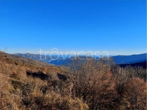 appartamento in vendita a Borgomaro in zona San Bernardo di Conio