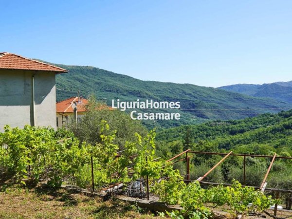 casa indipendente in vendita a Borgomaro in zona Ville San Pietro