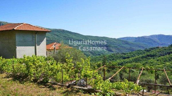 casa indipendente in vendita a Borgomaro in zona Ville San Pietro