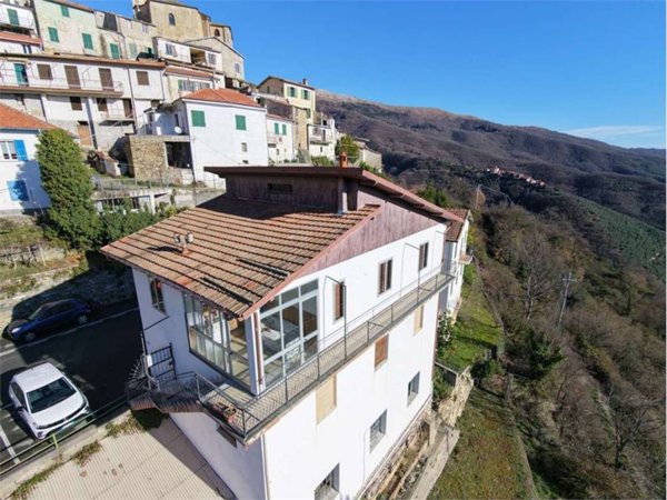 pentavano in vendita a Borgomaro in zona Conio