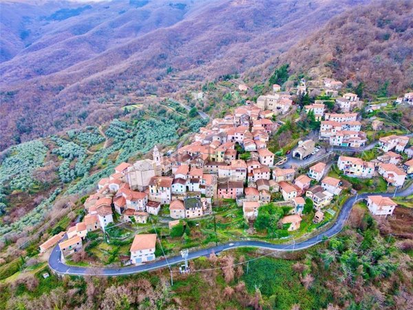 casa indipendente in vendita a Borgomaro in zona Conio