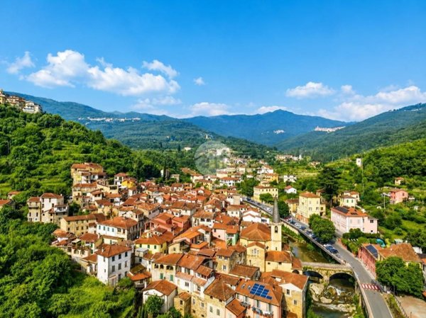 casa indipendente in vendita a Borgomaro