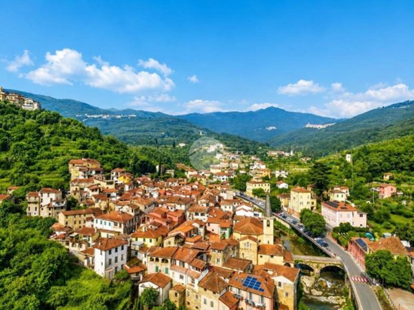 casa indipendente in vendita a Borgomaro